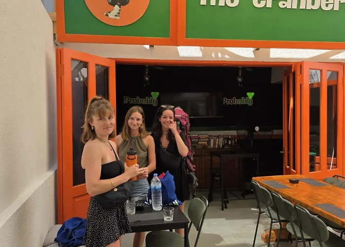 Vandrerhjem The Cranberries *