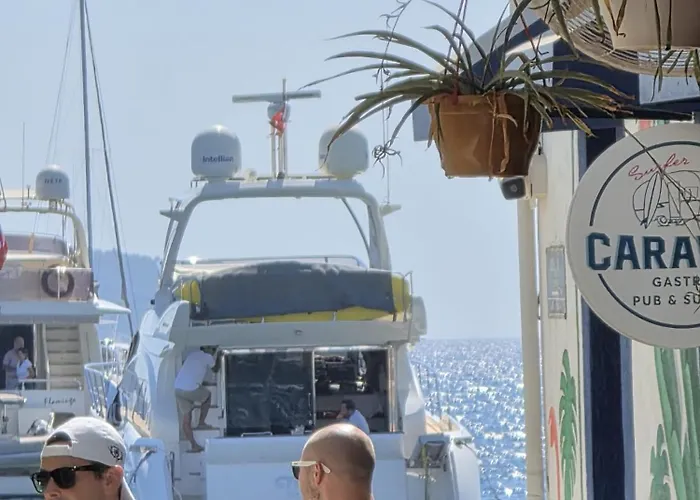 The Cranberries Vandrerhjem *