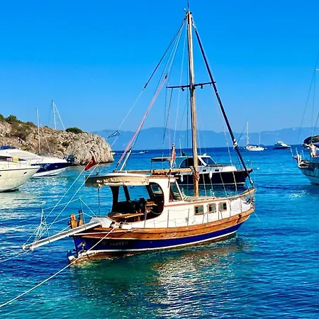 Hostel The Cranberries Bodrum
