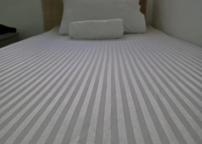 The Cranberries 호스텔