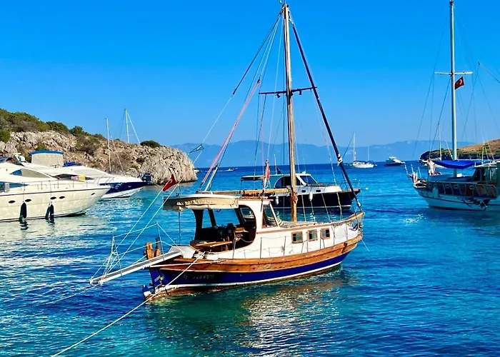 Vandrarhem The Cranberries Bodrum